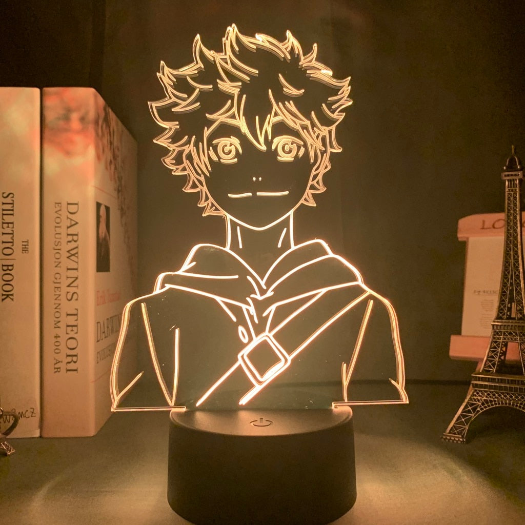 Haikyuu 16 Color Change LED Light Display LVL 9